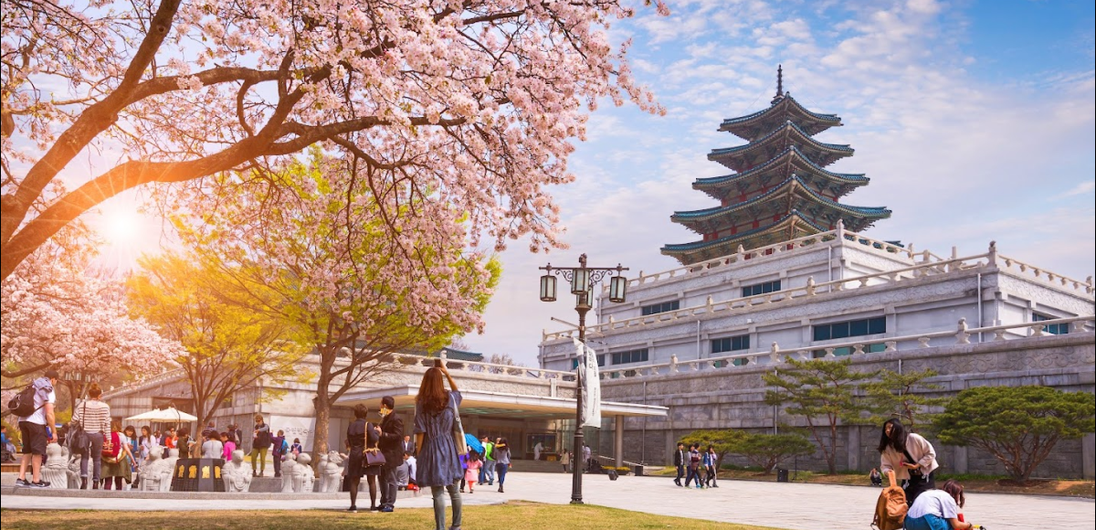 chi phí du lịch hàn quốc 2025